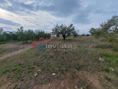 Οικόπεδο 360τ.μ. για πώληση-Πολύγυρος » Καλύβες πολυγύρου