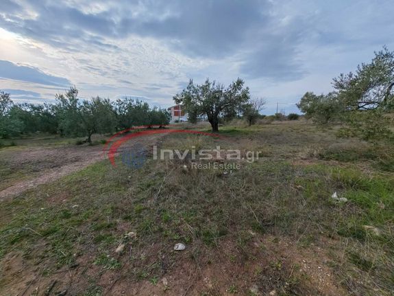 Οικόπεδο 360 τ.μ. για πώληση, Χαλκιδική, Πολύγυρος