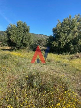 Οικόπεδο 337 τ.μ. για πώληση, Αθήνα - Ανατολικά Προάστια, Παιανία