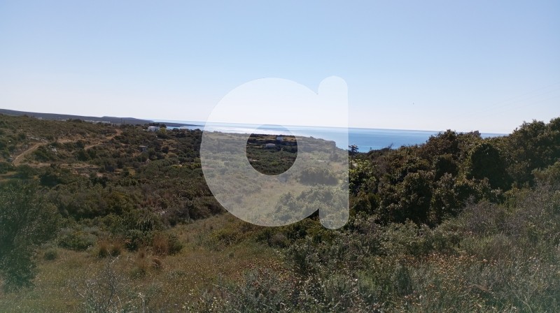 Οικόπεδο 15.119 τ.μ. πρός πώληση, Λακωνία, Κύθηρα