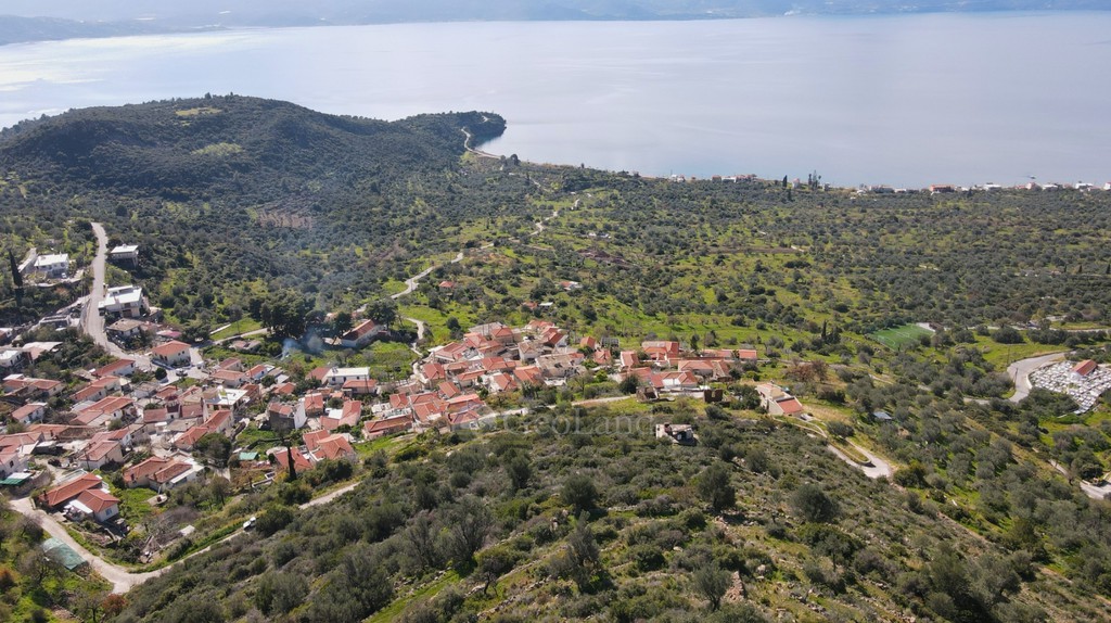 Οικόπεδο 278 τ.μ. προς πώληση, Μεγαλοχώρι Μεθάνων