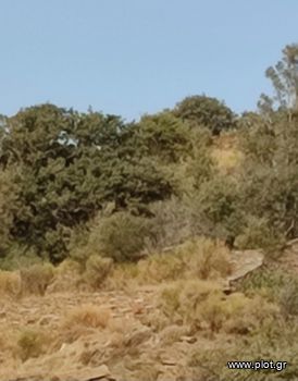 Οικόπεδο 9.200 τ.μ. για πώληση