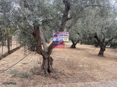 Οικόπεδο 604 τ.μ. για πώληση
