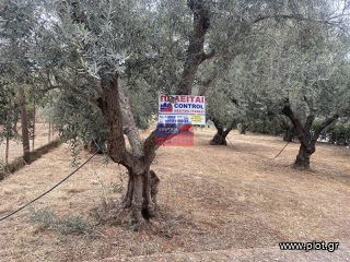 Οικόπεδο 604 τ.μ. για πώληση