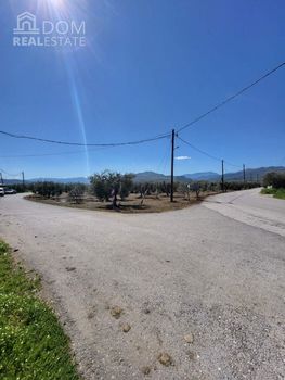 Αγροτεμάχια 11.380 τ.μ. για πώληση