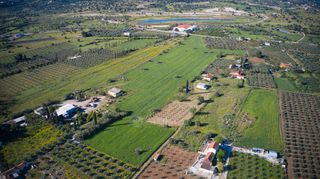 Αγροτεμάχια 30.000 τ.μ. για πώληση, Αργολίδα, Κρανίδι-thumb-12