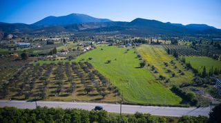Αγροτεμάχια 30.000 τ.μ. για πώληση, Αργολίδα, Κρανίδι-thumb-9