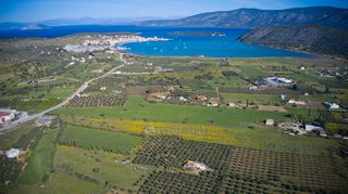 Αγροτεμάχια 30.000 τ.μ. για πώληση, Αργολίδα, Κρανίδι-thumb-6