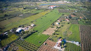 Αγροτεμάχια 30.000 τ.μ. για πώληση, Αργολίδα, Κρανίδι-thumb-7