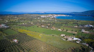 Αγροτεμάχια 30.000 τ.μ. για πώληση, Αργολίδα, Κρανίδι-thumb-22