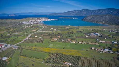 Αγροτεμάχια 30.000 τ.μ. για πώληση