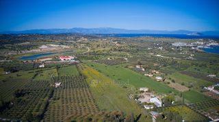Αγροτεμάχια 30.000 τ.μ. για πώληση, Αργολίδα, Κρανίδι-thumb-19