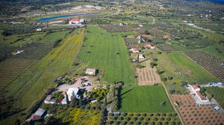 Αγροτεμάχια 30.000 τ.μ. για πώληση, Αργολίδα, Κρανίδι-thumb-15