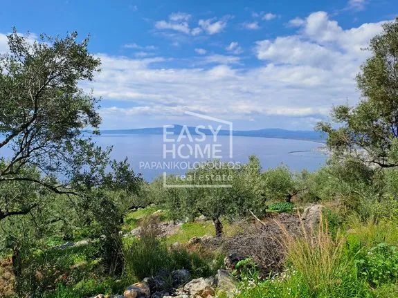 Parcel 2.358 sqm for sale, Messinia, Kalamata