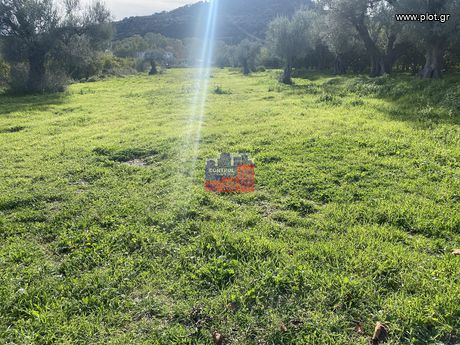 Οικόπεδο 4.288 τ.μ. για πώληση