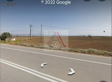 Parcel 22.000sqm for sale-Livadeia » Lafisti