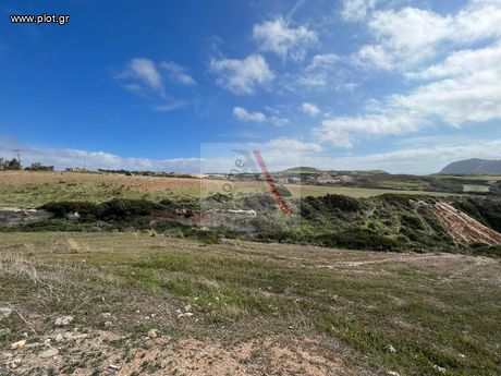 Οικόπεδο 62.517 τ.μ. για πώληση