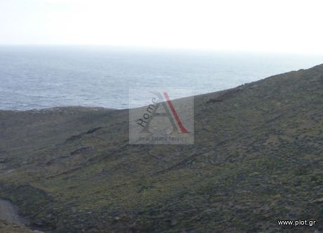Αγροτεμάχια 53.350 τ.μ. για πώληση