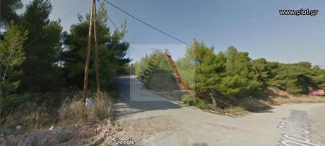 Land plot 1.045sqm for sale-ΜAlesinis