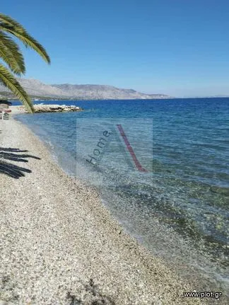 Land plot 300 sqm for sale, Corinthia, Agioi Theodoroi