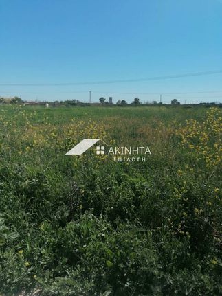 Parcel 16.000 sqm for sale, Evros, Alexandroupoli