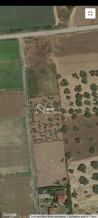 Parcel 1.300 sqm for sale, Rest Of Attica, Oropos