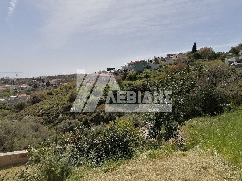 Οικόπεδο 1.128 τ.μ. προς πώληση, Ομηρούπολη