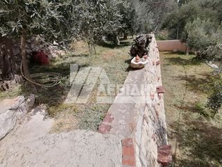 Οικόπεδο 1.128 τ.μ. προς πώληση, Ομηρούπολη-thumb-4