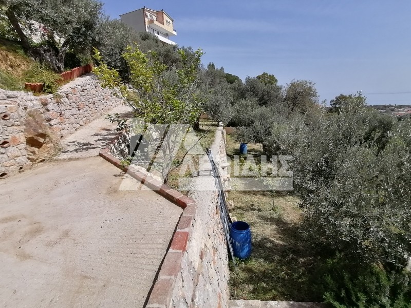 Οικόπεδο 1.128 τ.μ. προς πώληση, Ομηρούπολη