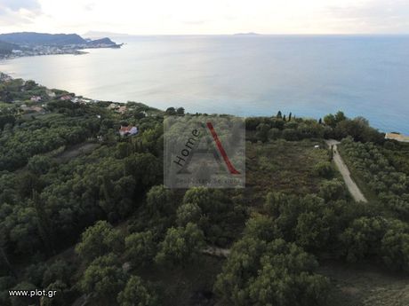 Οικόπεδο 10.000τ.μ. για πώληση-Κέρκυρα » Εσπερίες