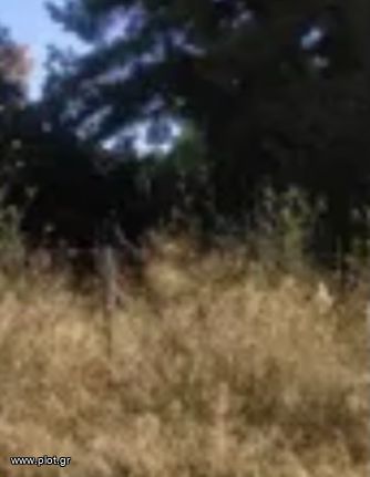 Οικόπεδο 611 τ.μ. για πώληση, Αθήνα - Νότια Προάστια, Παλαιό Φάληρο