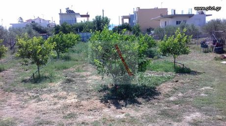 Οικόπεδο 2.000τ.μ. για πώληση-Βόχα » Βοχαϊκό