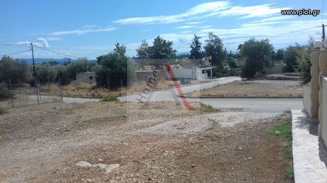 Οικόπεδο 5.000τ.μ. για πώληση-Μέγαρα » Κινέτα
