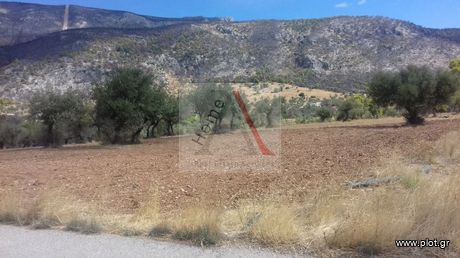 Αγροτεμάχια 5.000τ.μ. για πώληση-Μέγαρα » Κινέτα