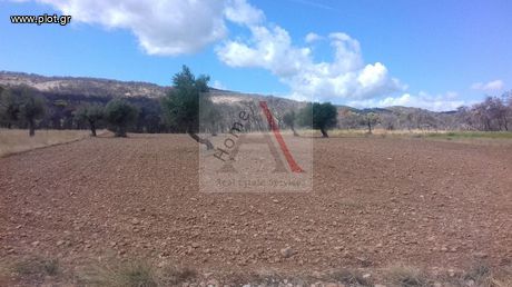 Αγροτεμάχια 9.000τ.μ. για πώληση-Βίλια » Λούμπα