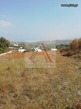 Αγροτεμάχια 1.700τ.μ. για πώληση-Νάξος » Γαλήνη