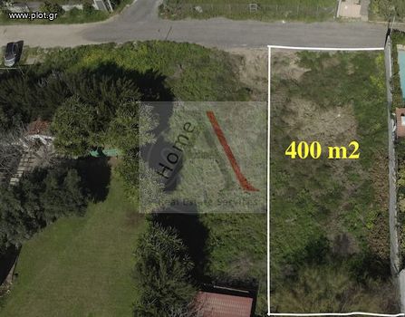 Οικόπεδο 400τ.μ. για πώληση-Βάρη- βάρκιζα » Ασύρματος αλίανθου
