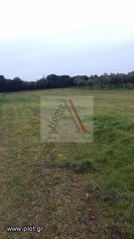 Parcel 6.500sqm for sale-Megara » Center