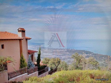Βίλλα 300τ.μ. για πώληση-Βεργίνα » Παντελεήμονας