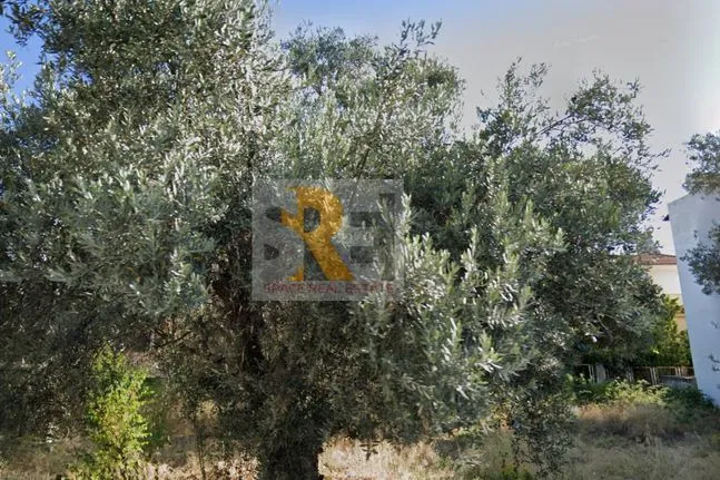 Land plot 432 sqm for sale, Athens - East, Pallini