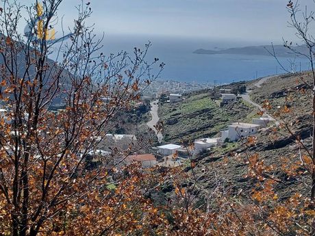 Οικόπεδο 5.452τ.μ. για πώληση-Κάρυστος » Μύλοι