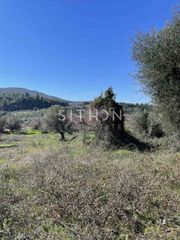Αγροτεμάχια 743 τ.μ. για πώληση