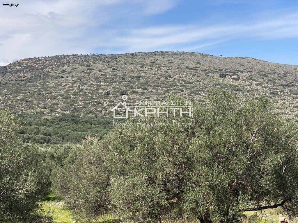 Οικόπεδο 4.100 τ.μ. προς πώληση, Μόχλος
