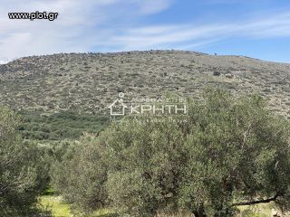 Οικόπεδο 4.100 τ.μ. για πώληση