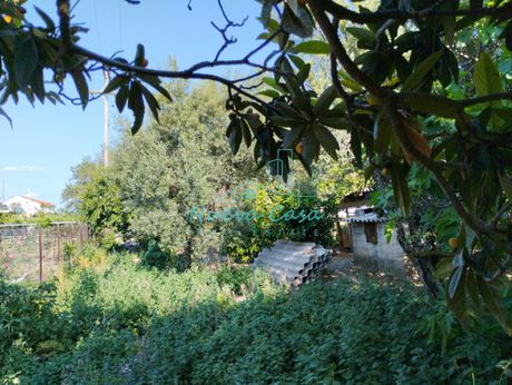 Οικόπεδο 1.000τ.μ. για πώληση-Ρίο » Άγιος βασίλειος