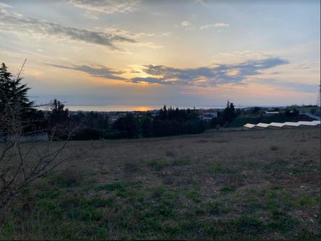 Αγροτεμάχια 8.250τ.μ. για πώληση-Πανόραμα » Κέντρο