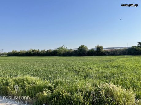 Αγροτεμάχια 7.095τ.μ. για πώληση-Θέρμη