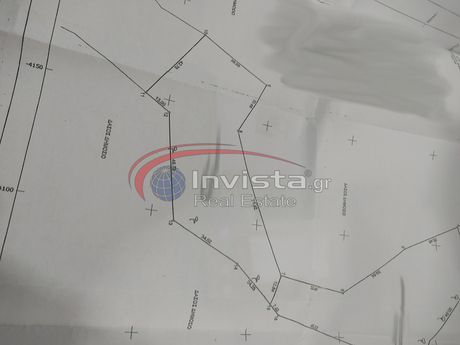 Αγροτεμάχια 4.150τ.μ. για πώληση-Κασσάνδρα » Κασσάνδρεια