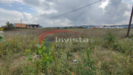 Αγροτεμάχια 2.460τ.μ. για πώληση-Θερμαϊκός » Λιβάδακιο