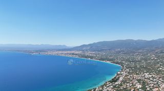 Οικόπεδο 4.026 τ.μ. για πώληση, Μεσσηνία, Αβία-thumb-8